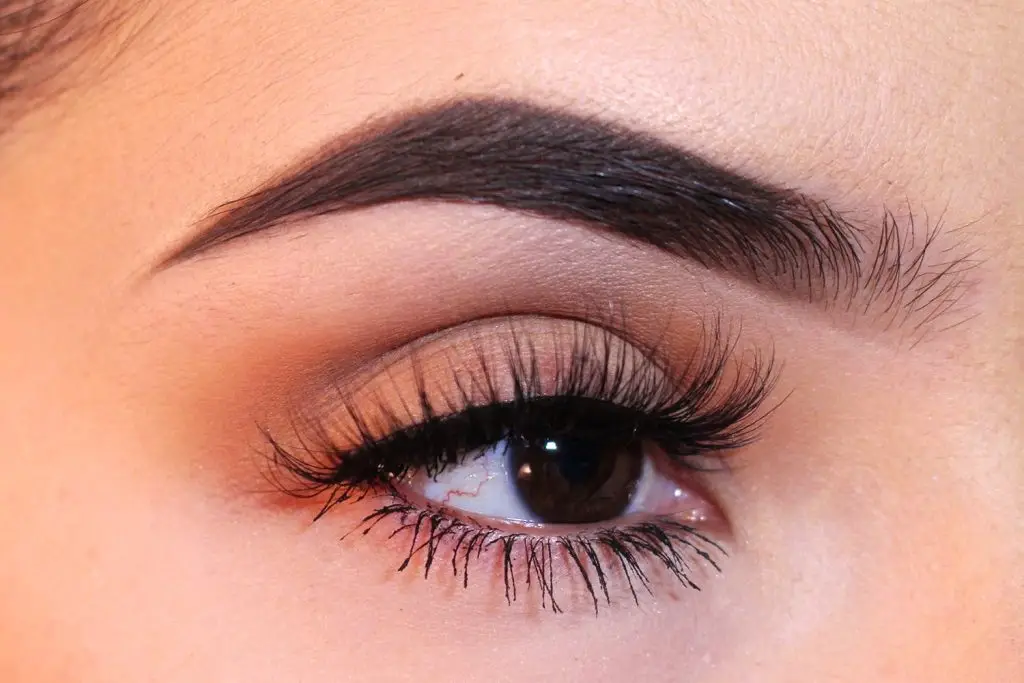 perfect eyebrows trick